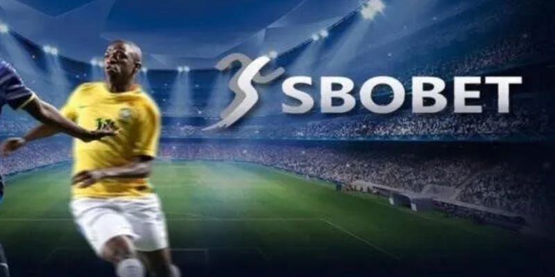 Tại sao nên chọn Sbobet