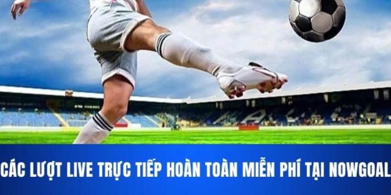 Trang cá cược bóng đá uy tín Nowgoal phân tích