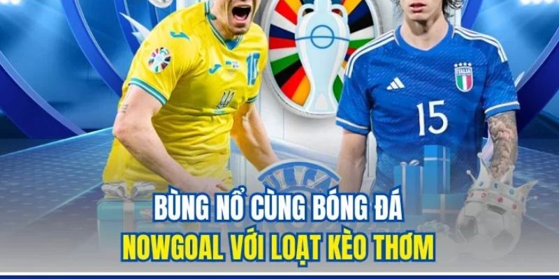 Vip Nowgoal hướng dẫn sử dụng